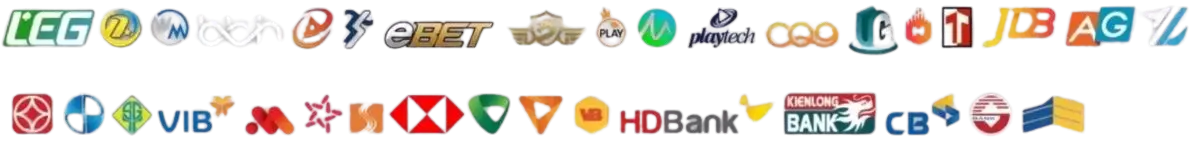 Các đối tác hàng đầu quốc tế