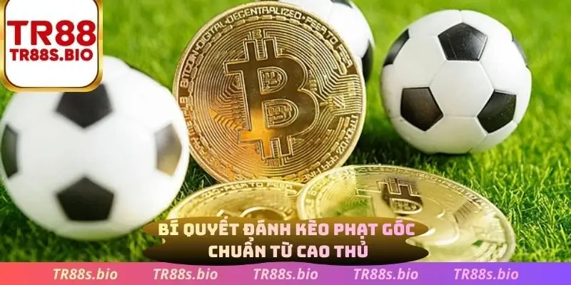 Bí quyết đánh kèo phạt gốc chuẩn từ cao thủ