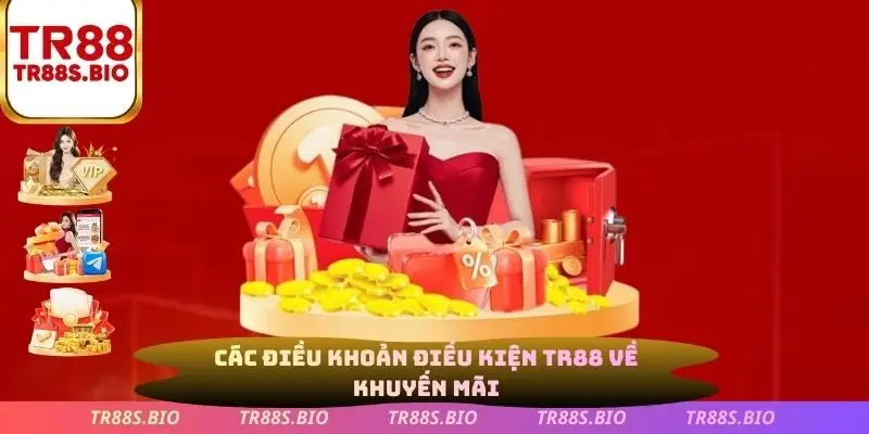 Các điều khoản điều kiện về khuyến mãi