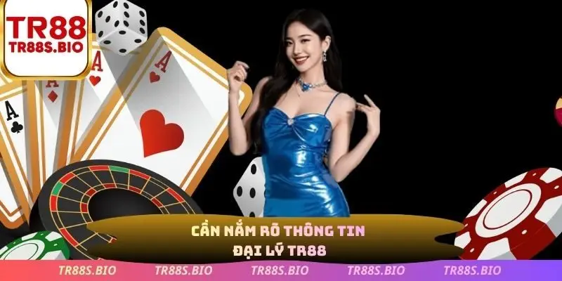 Cần nắm rõ thông tin đai lý TR88