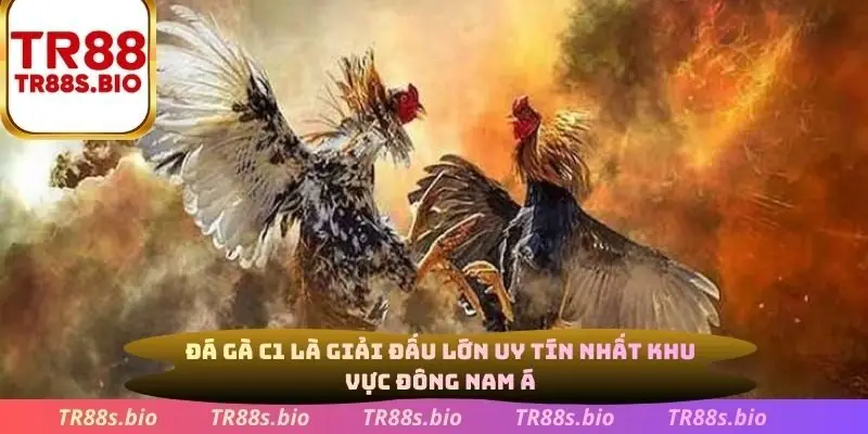 Đá gà C1 là giải đấu lớn uy tín nhất khu vực đông nam á