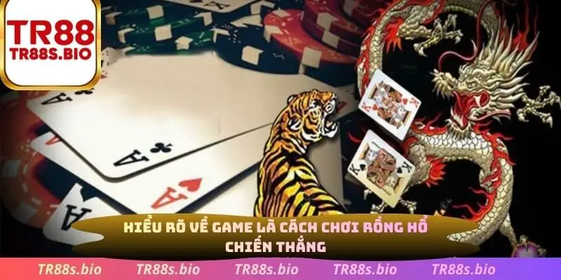Hiểu rõ về game là cách chơi rồng hổ chiến thắng