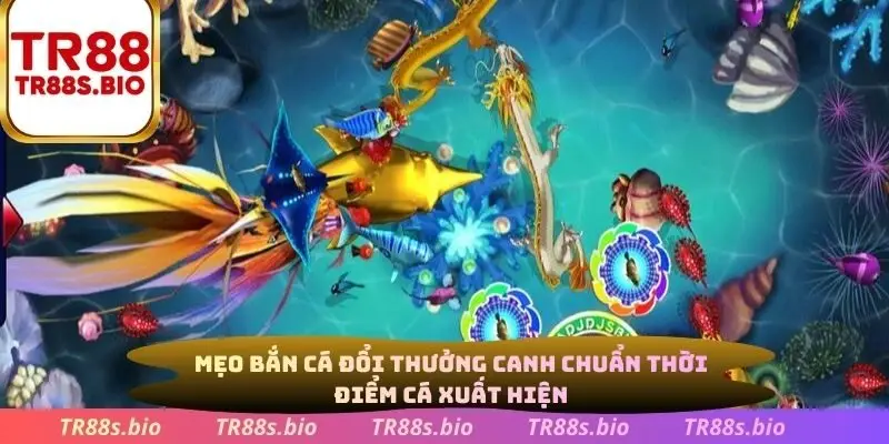 Mẹo bắn cá đổi thưởng canh chuẩn thời điểm cá xuất hiện