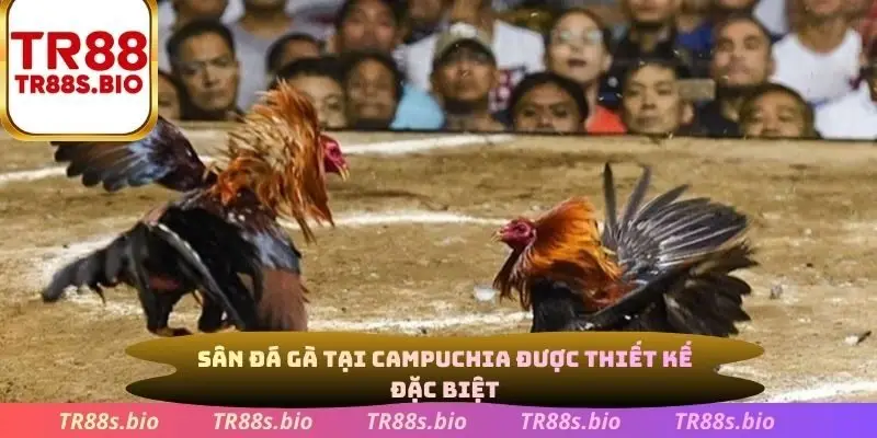 Sân đá gà tại Campuchia được thiết kế đặc biệt