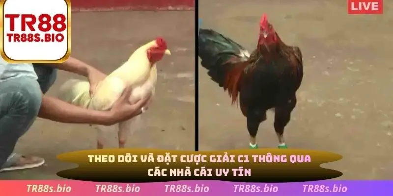 Theo dõi và đặt cược giải C1 thông qua các nhà cái uy tín