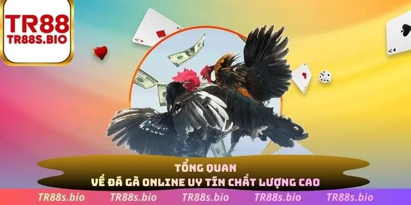 Tổng quan về đá gà online uy tín chất lượng cao